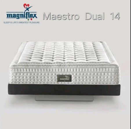 Maestro Dual 14