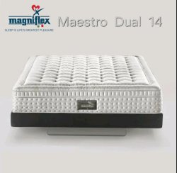 MAESTRO DUAL EXCLUSIVE HOTEL 14