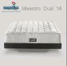 MAESTRO DUAL EXCLUSIVE HOTEL 14