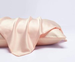 Μαξιλαροθήκη 100% Silk 50Χ75cm
